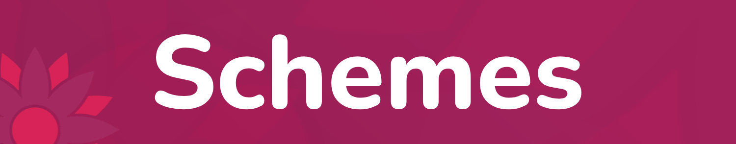 Age Friendly - Schemes