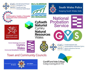 Vale PSB Membership logos